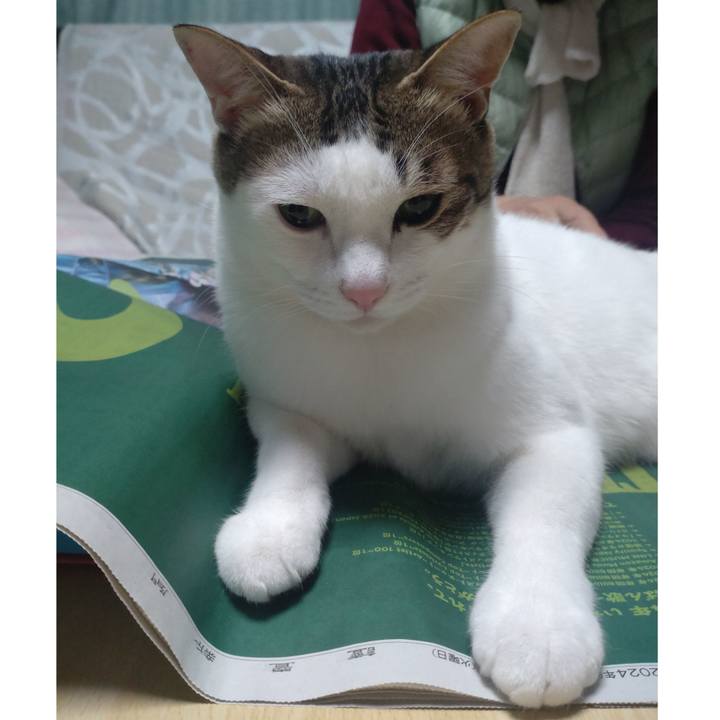 A0c52adb a1c3 49e0 9846 ebfe93e49391 1735635522031