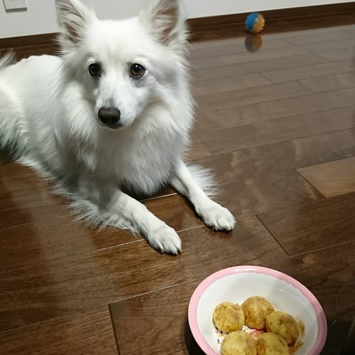 A0c55d15 acbd 453d 9e75 9b6c61956ced 1523102262185