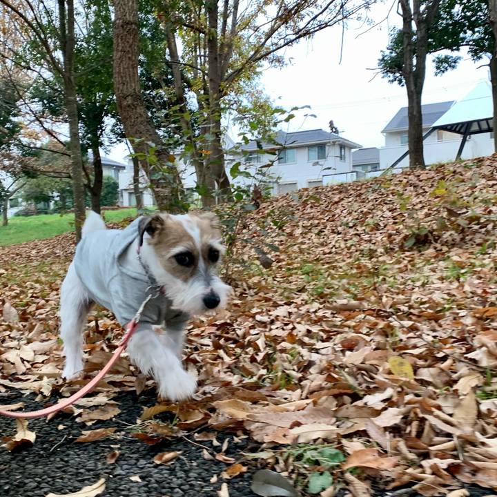 A0c57dc2 7728 4a91 af62 e0a5b458fba4 1606987572466