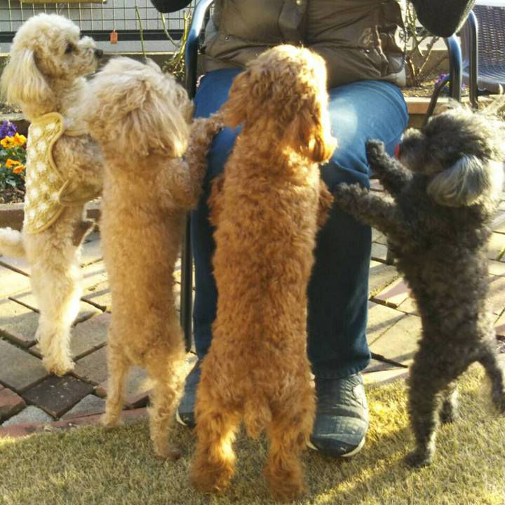 A0c5827b 30ac 41c4 a3a6 9c20dd5b2d35 1579595318867