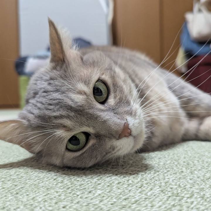 A0c58322 4299 4c63 9945 582b3f517536 1739420024546