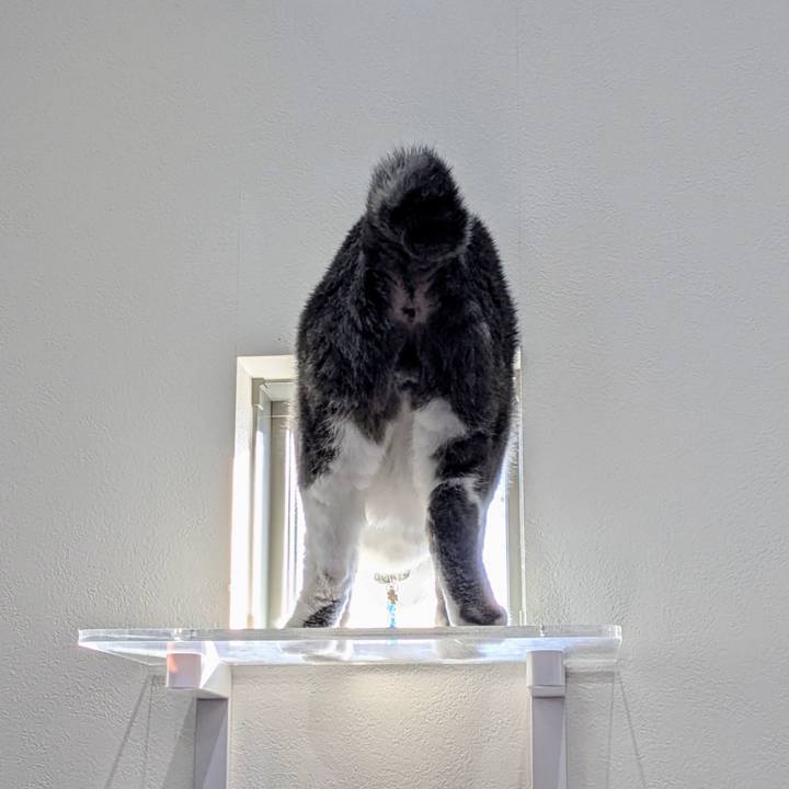 A0c59c5a 6bec 4d0a ab8c 90e525d27d0b 1761264153881