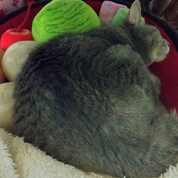 A0c5a7fb 6e58 4fb5 906d 2f6001f03d7b 1604404492166