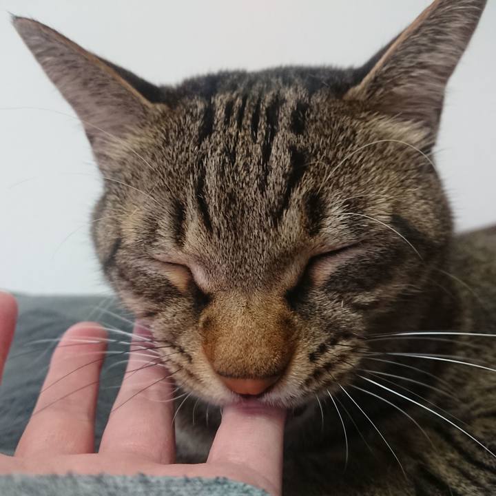 A0c5adcb 8b33 465b 9140 0eec353cca1e 1604362435627