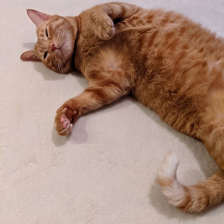 A0c5c489 51a6 417e 9d21 8d81023899ed 1631536794823