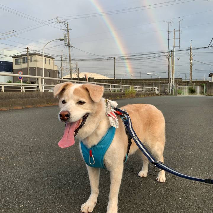 A0c5dc62 2e3a 429d 8368 9f4403ea04e4 1660210817676