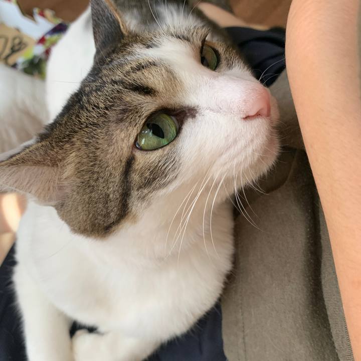 A0c5df2c 9a3c 40c6 93ae 647106453932 1658366089796