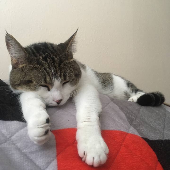 A0c5e613 5978 4868 9522 b31d331b84b7 1633916270922