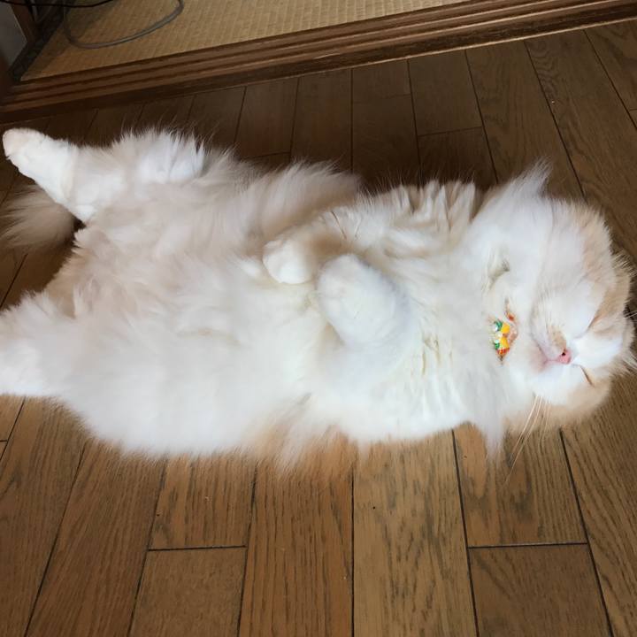 A0c62234 13f5 42bb bef8 e05b284d3335 1531735924136