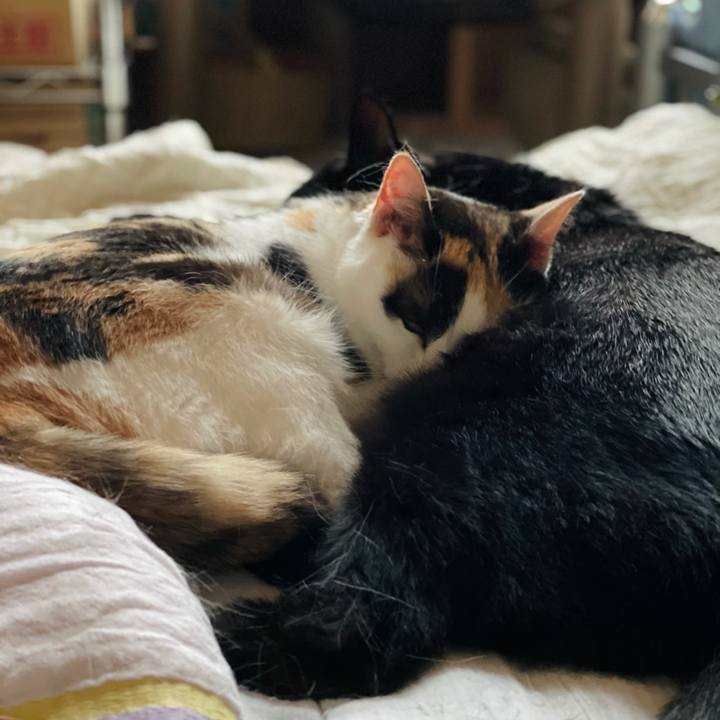 A0c6b92b 661e 4fa3 9581 d758076c265a 1625107346598