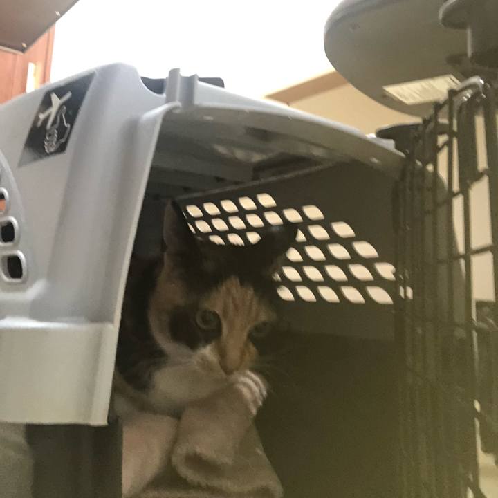 A0c6baa0 55b1 499c baf7 372f30eee7fe 1616123591202