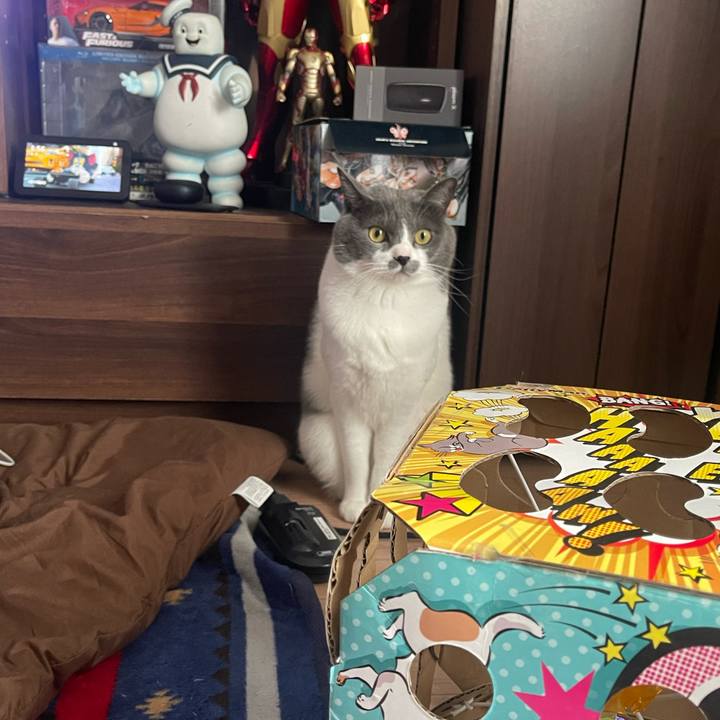 A0c6c4c4 cbae 42ce b5aa cd78da7808fc 1673938663645