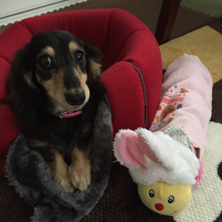 A0c6f0fb 5654 4abe 9edc f45dc0353407 1544079811708