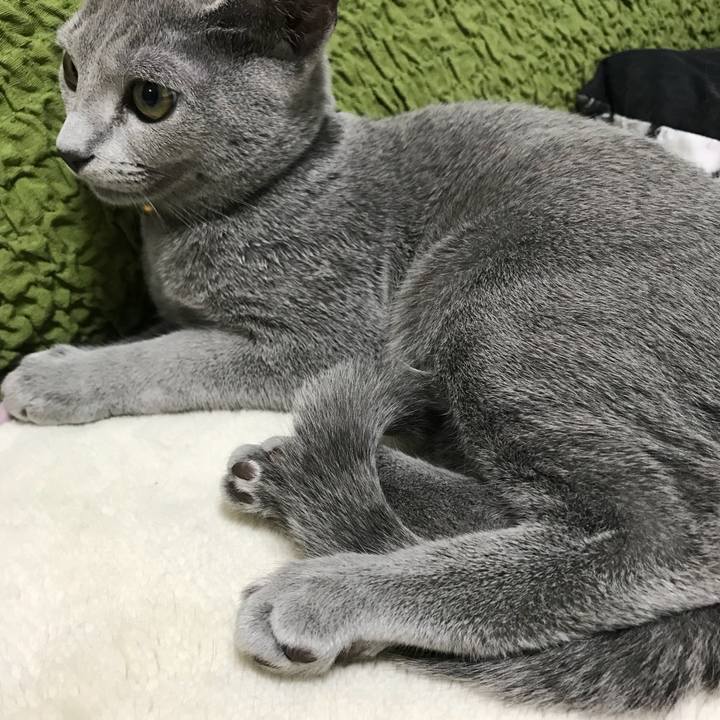 A0c7191c 3109 40b4 a3f8 34975da3b020 1508456404300