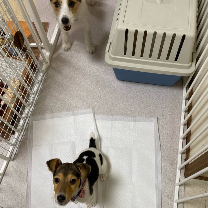 A0c76496 3980 4e51 a863 c52b319d8951 1743023344691