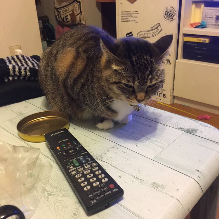 A0c76d76 7a8b 497d 946c a21848fd4f19 1547311572824