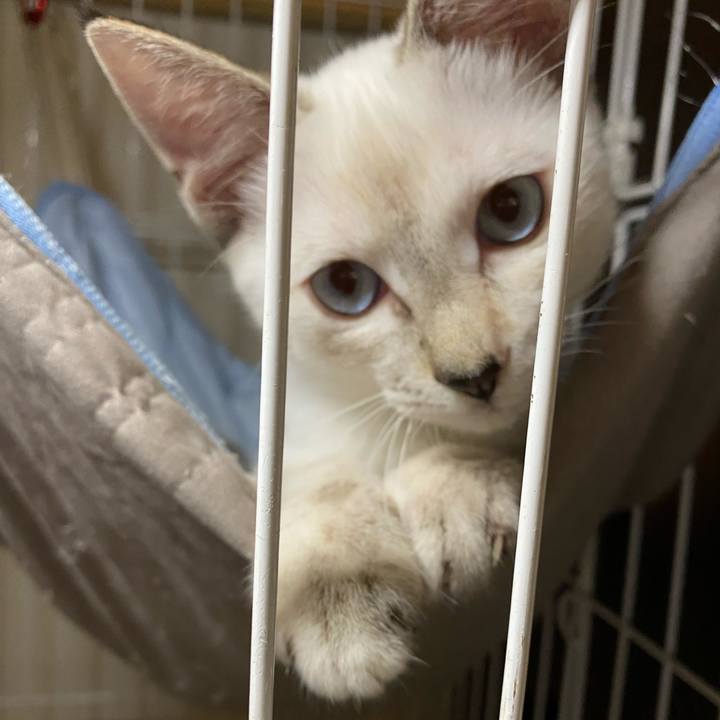 A0c7a466 1a37 489f 8d42 ebf5b0bf9809 1629447960560