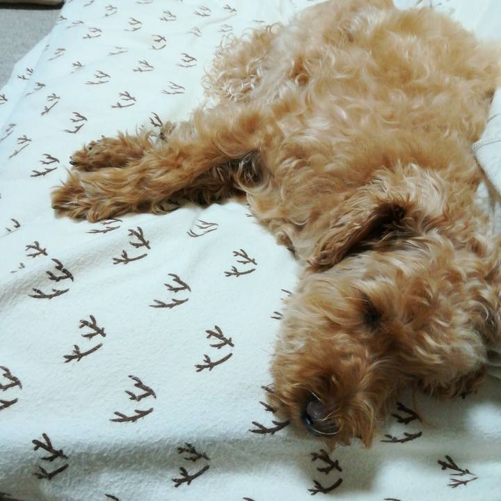 A0c7bcbb 821b 49c0 8f44 23a5301a6ee3 1532385125697