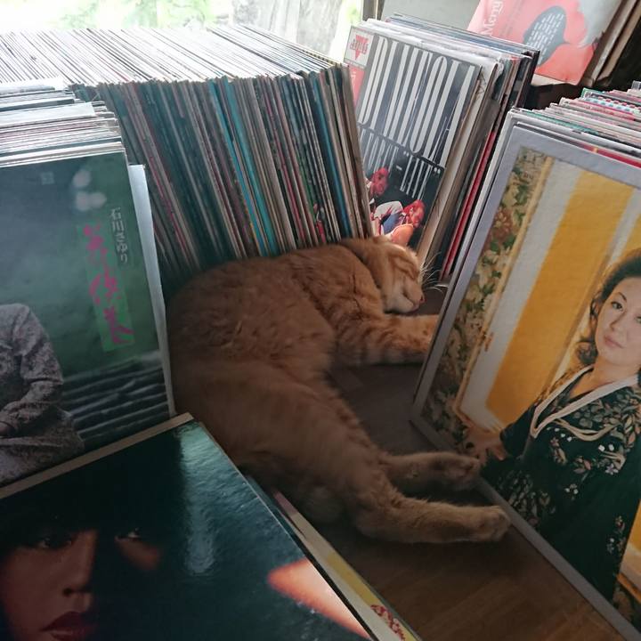 A0c7bd47 11d2 4e3c b2f7 a5167c47e343 1659422523054