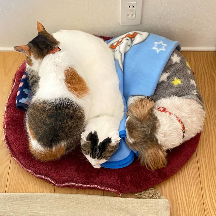 A0c7ce6c 08a3 4e90 8c26 3a984d10d83d 1672549212799