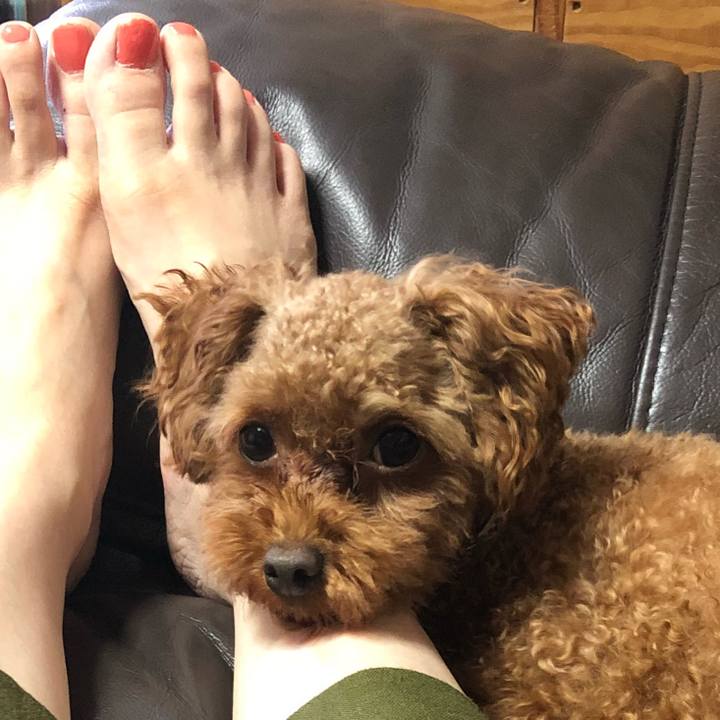 A0c7f28f 1293 4eb8 9271 13c433738bbb 1534406746543