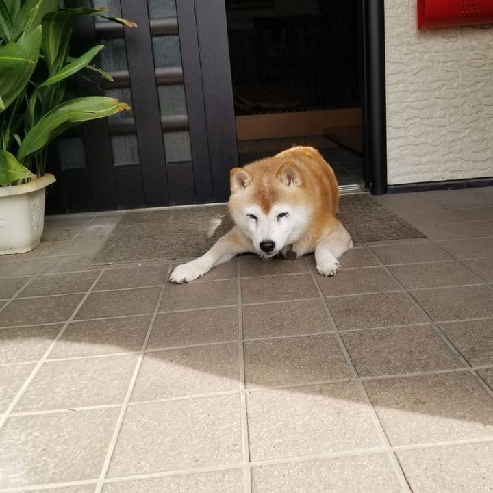 A0c7f78c 72d5 4f3e 98e2 f607c8fbfa4e 1727068793144