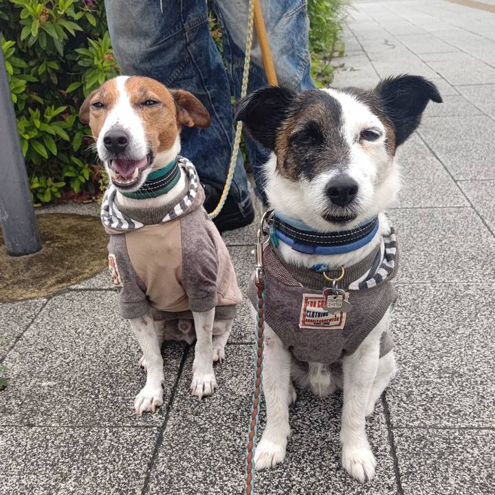 A0c82ca8 e006 480e 94e6 b82b137e4ff4 1715815557987