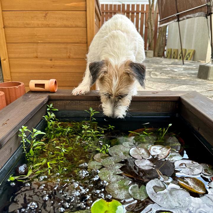 A0c878c0 7d5c 4573 9944 6c37701fc3ef 1694521609077