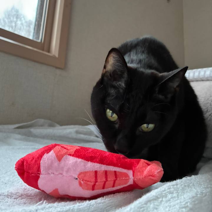 A0c8b0eb d130 4dad a944 ea16340b8dbc 1773437376069