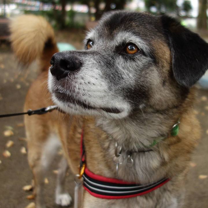 A0c8c1a4 9a3b 433e 9cfd 1371224de4c0 1619747403401