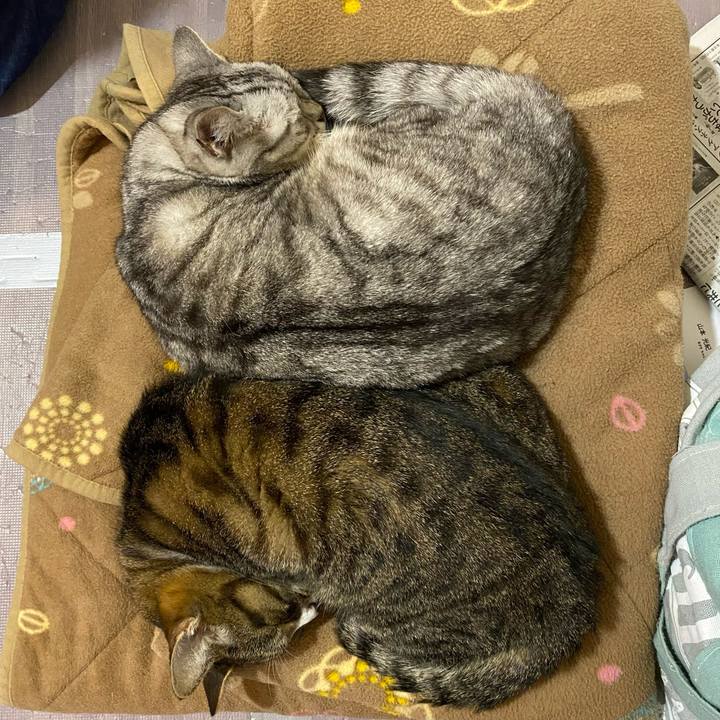 A0c96ca8 37e7 4dac 8ec0 3ba0ddaeaaff 1652096322278