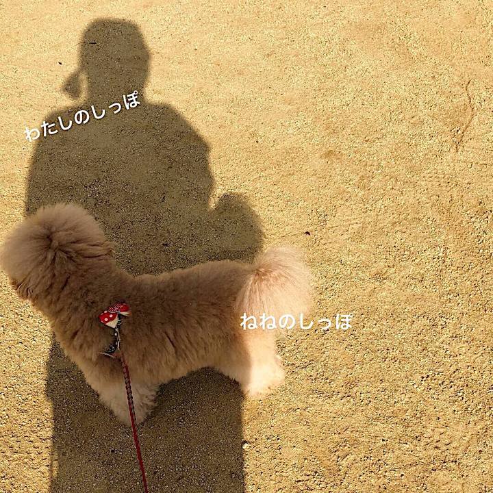 A0c9749c 8ae3 45de 88ad d07f3b44fa9c 1540449466669