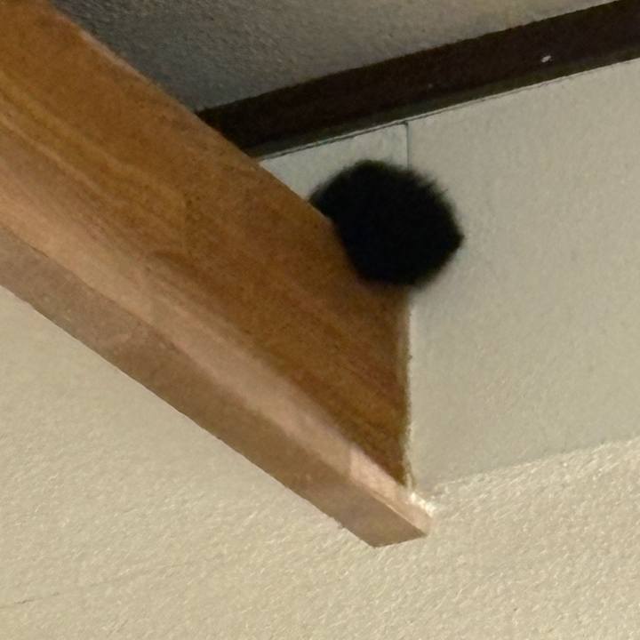 A0c98d48 2258 435b 958a a2e747c937d9 1764844370494