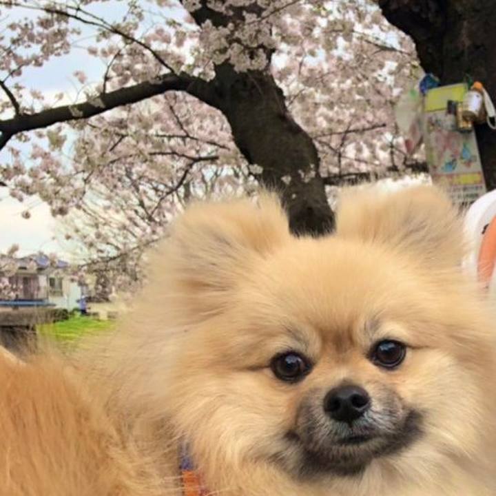 A0c9d5f5 dffc 4cb3 8c69 0e669aad3392 1648634900158