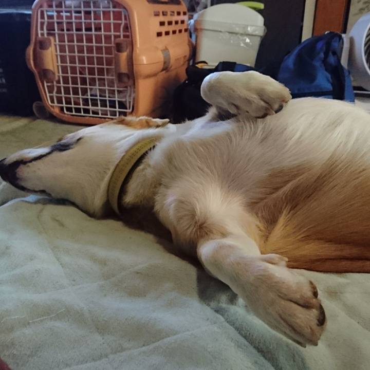 A0c9d77e 1e78 4933 bc98 77de807abca6 1574668273192