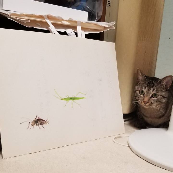 A0c9e2b0 f34d 4346 86e5 55da1f59e31a 1693488076838