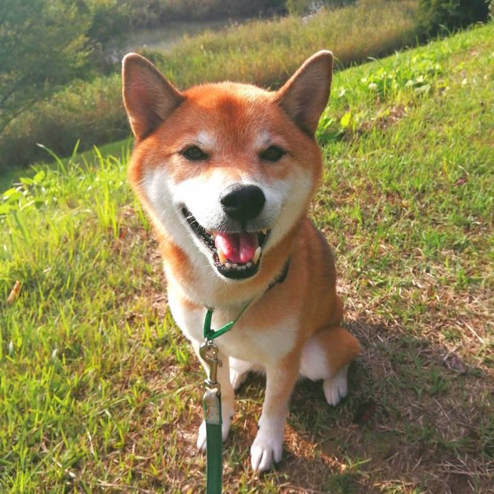 A0ca081b 6bea 4dfc a8a0 649eb573d378 1664263130853