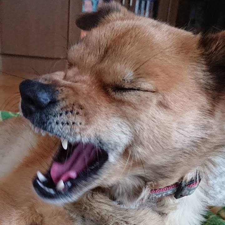 A0ca6228 11b2 4e1b 8f24 62eaa96d9dfb 1552292001450