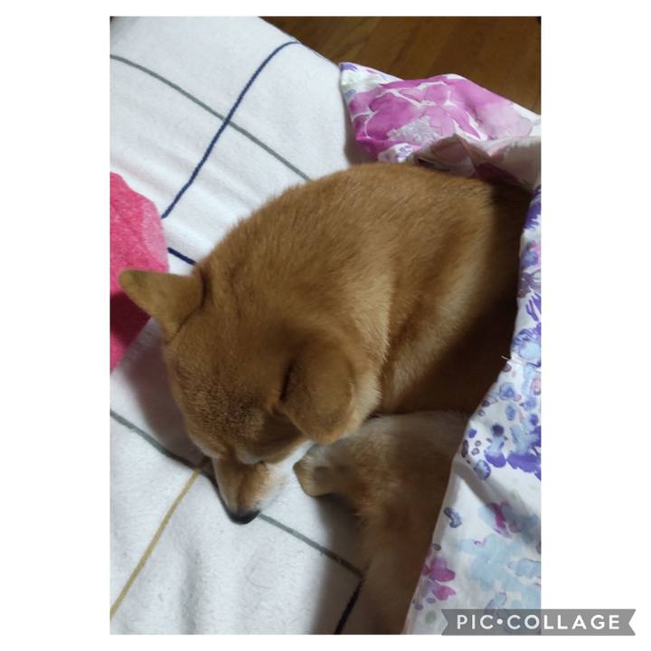 A0ca8221 a592 4e88 ab84 a23571b085d3 1697285065607