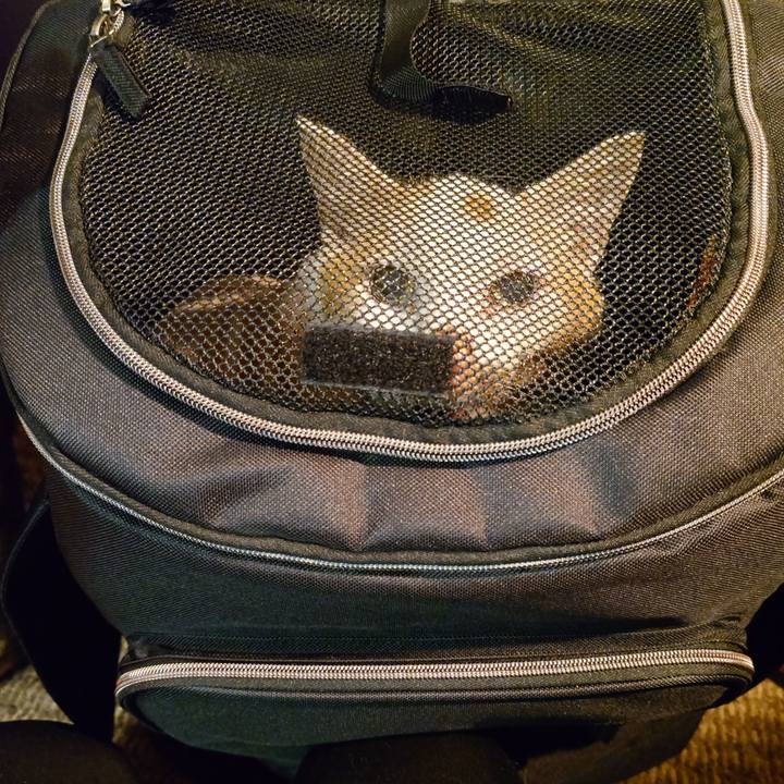 A0ca8529 b1d2 4f22 bb24 227e56d61dee 1770024882291