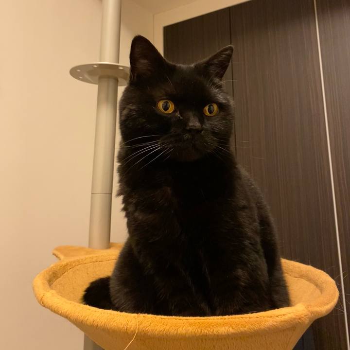 A0ca960a 75a7 4863 9678 3b8a39a36c72 1748437659556