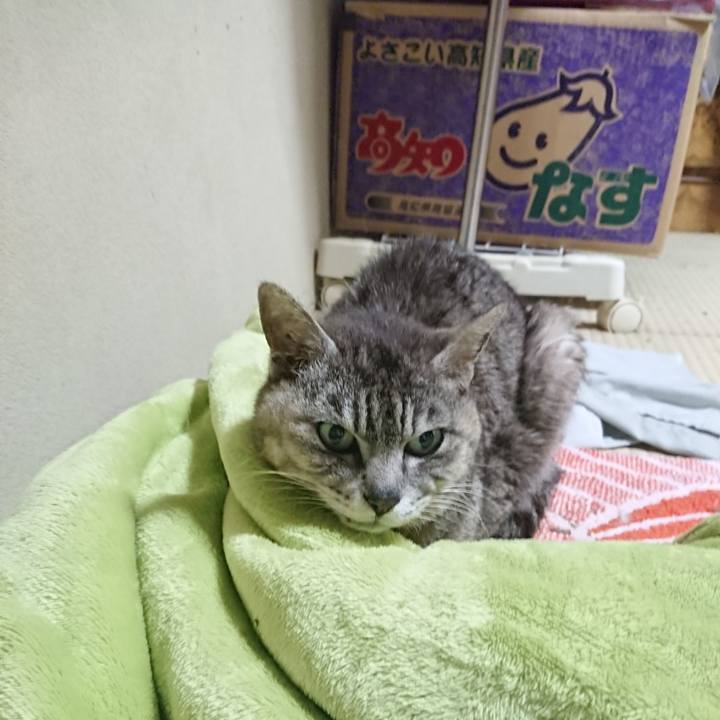 A0caa5d3 8f25 4367 949e 03c0aca99b92 1593084160677