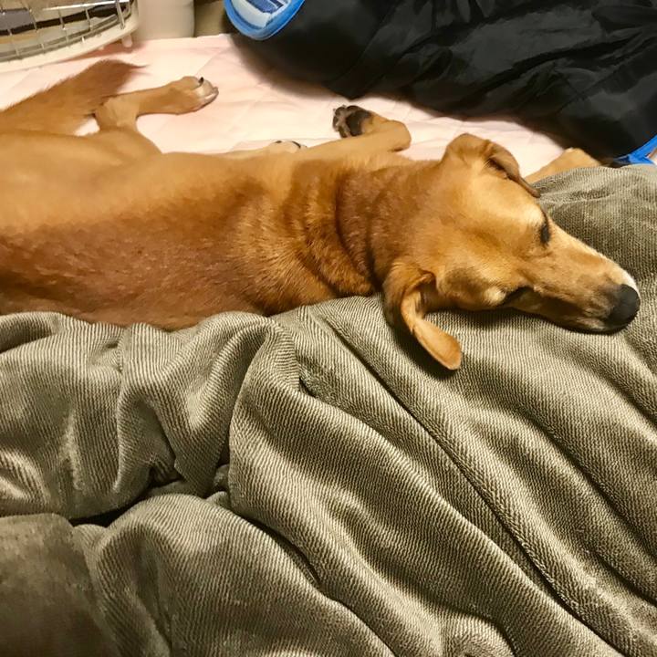 A0cabace 3301 49ef bba7 4d715b8e22e3 1535970427294