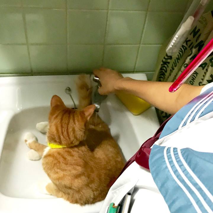 A0cad335 3906 41fe 956c 2ac66a0143d3 1531821026627