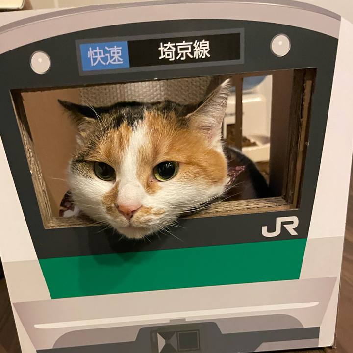 A0caef9c 927e 4aba bdc0 4b5fcf8721f9 1735826414491