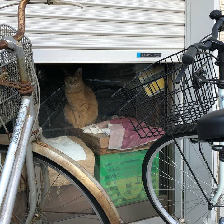 A0caf5d6 f175 4541 87f1 1f26d59a6f02 1609366420520