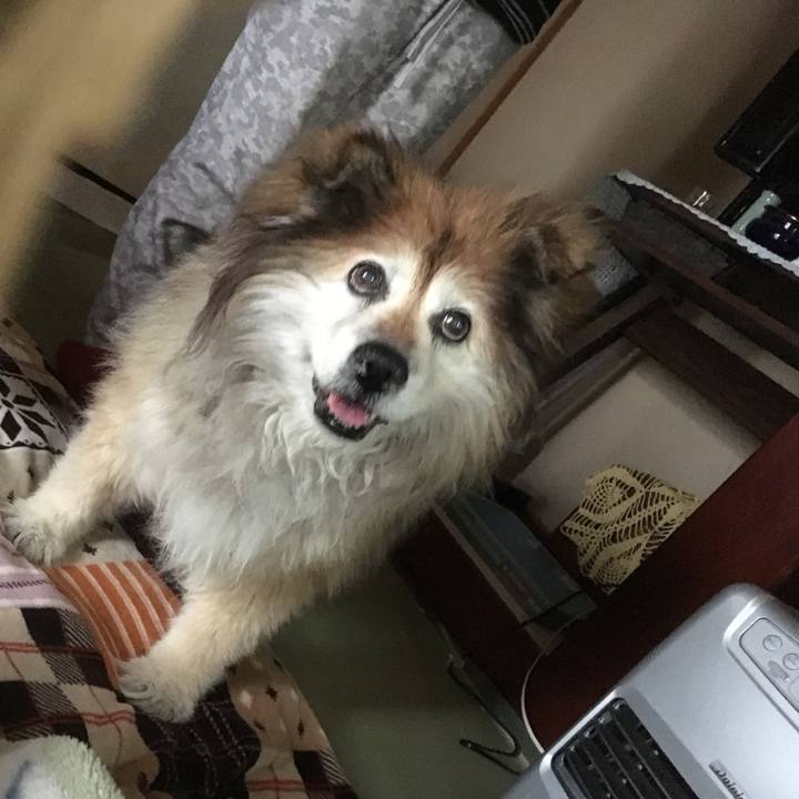 A0cb36f4 07a7 4fa0 a091 a325bc520812 1583455964875