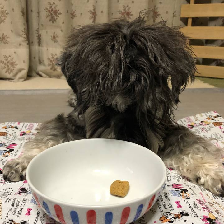 A0cb4174 dead 45fb b89b c0b39f22cb38 1592479331608