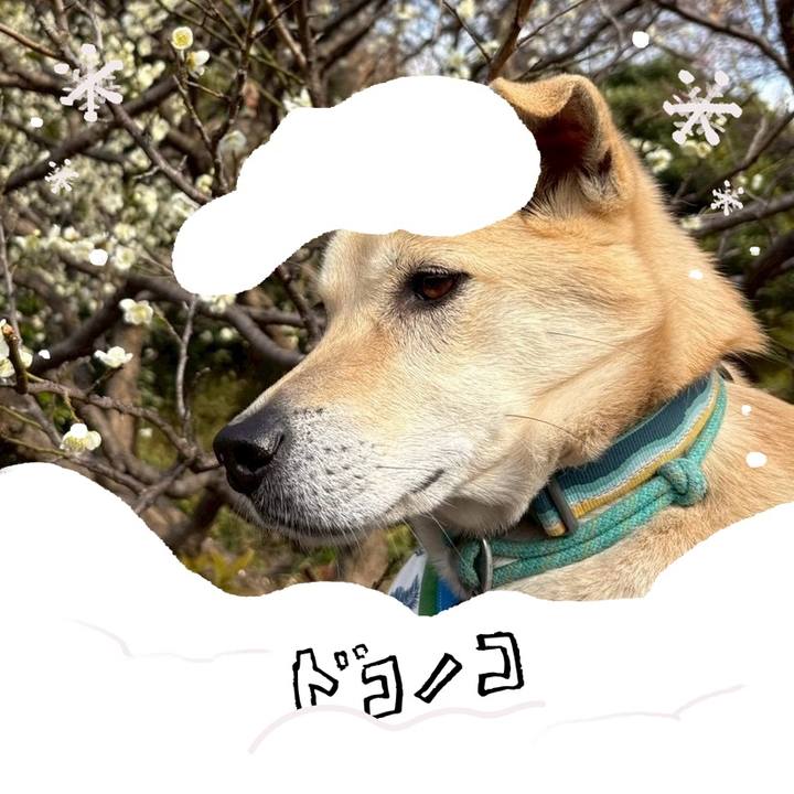 A0cb489f 1cdf 4634 bd9b d86d455e283d 1771909710747