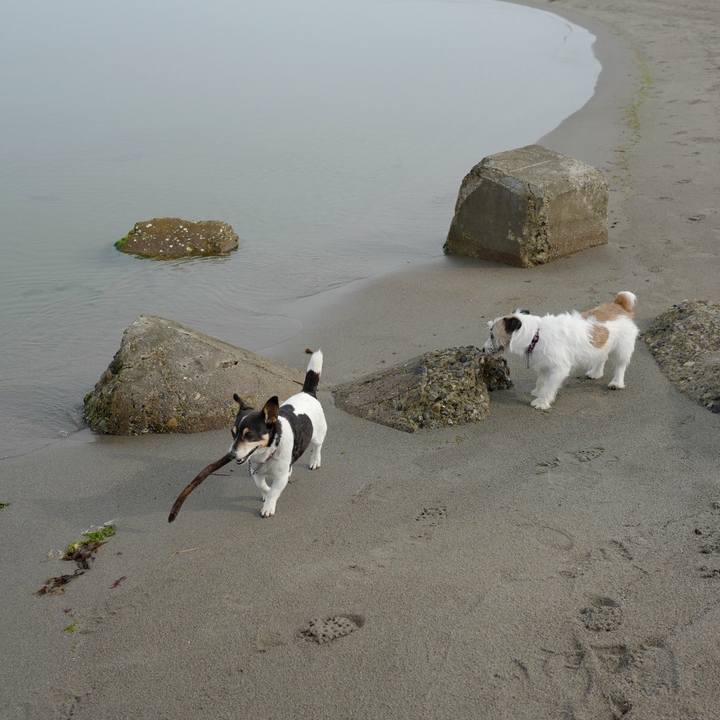 A0cb6f21 8fff 48d2 8ea6 8cf9c22a3230 1527655209956